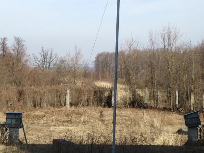 Терраса с перголой и двумя фонтанами