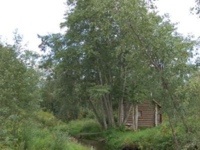 Парк усадьбы Каменской