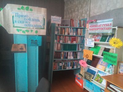 Идяшевская сельская библиотека