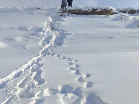 Пропавшего три дня назад на реке Лене мужчину нашли мертвым