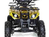 Квадроцикл MOTAX ATV Mini Grizlik X-16