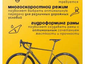 Шоссейный велосипед Atom Tundra LTD, год 2024, цвет Коричневый, ростовка 22