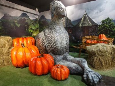 Билеты на Музей Гарри Поттера. Комбо-квест (Музей Гарри Поттера) / Экскурсия | Афиша | ИнфоТаймс