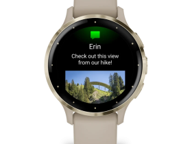 Смарт-часы Garmin Venu 3s Soft Gold French Gray Silicone (010-02785-02)