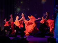 Всеволожский центр культуры и досуга