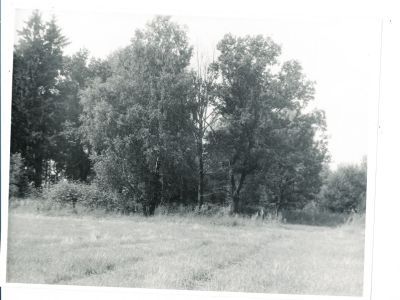 Усадьба. Парк