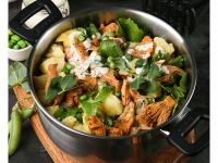 Кастрюля с крышкой Polaris Rialto-24C