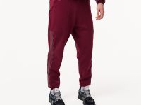 Мужские спортивные брюки Lacoste