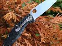 Складной нож Spyderco Resilience, сталь 8Cr13MoV, рукоять FRN, черный