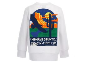 Свитшот для мальчика