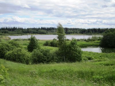 Усадьба П. П. Рябушинского