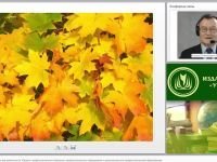 Стандарт профессиональной деятельности «Педагог профессионального обучения, профессионального образования и дополнительного профессионального образования»