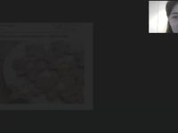 Международный вебинар "Роспись имбирных пряников глазурью: основные рецепты, инструменты, этапы приготовления"