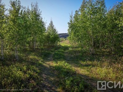 В Якутии спустя четыре дня нашлись пропавшие ягодники