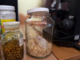 В Якутске стартовал всероссийский фестиваль «Наука 0+»