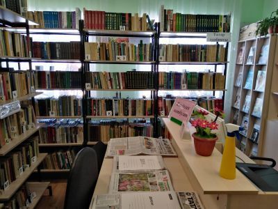 Сатламышевская сельская библиотека