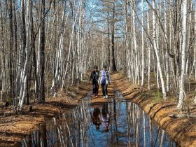 По Кангаласскому Мысу