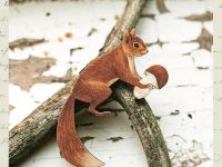 Деревянная брошка Дворникова А. "Белочка"