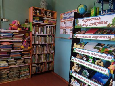 Воронинская сельская библиотека