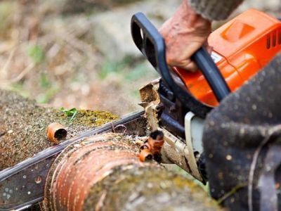 В Якутии на «черных лесорубов» возбуждены уголовные дела