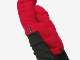 Рукавицы BASK