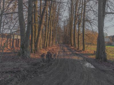 «Усадьба Васильевское. Аллеи парка, XVIII-ХIХ вв.»