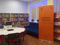 Дедовичская поселковая библиотека