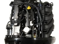 4х-тактный лодочный мотор GOLFSTREAM F115FEL-T EFI L