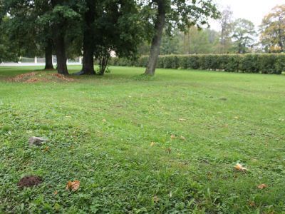 Оранжерея Померанцевая (фрагмент)