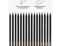 Набор карандашей цветных Гамма "Мультики" 24 цв., черное дерево,заточен., картон. упак., европодвес