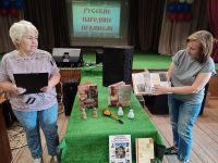 Сотницынская сельская библиотека