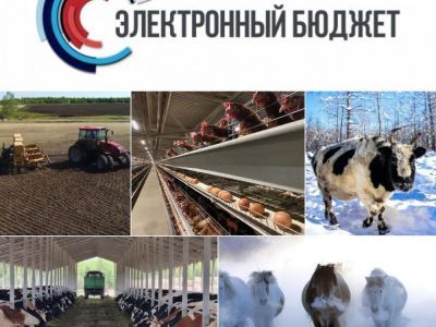 МКУ «Управление сельского хозяйства» Мирнинского района сообщает о проведении отбора в системе «Электронный бюджет»