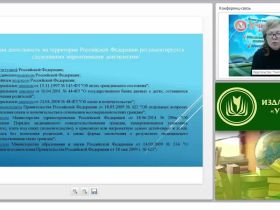 Вопросы усыновления детей-сирот на территории РФ