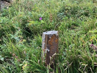 Стела № 22 раннемусульманского кладбища № 2 архитектурного комплекса "Мусийкъонгийкоте"