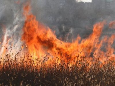 Недалеко от села Бетенкес Верхоянского района вспыхнул ландшафтный пожар