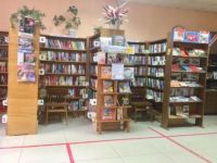 Библиотека-филиал № 6 г. Дальнереченска