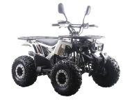 Квадроцикл MOTAX ATV Grizlik Premium 125cc