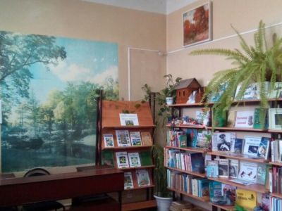 Библиотека № 10 п. Новки