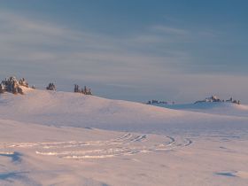 Арктическая снегоходная экспедиция «К Каменным Людям Сундуруна через кряж Суор Уйата»