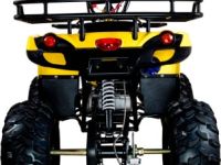 Квадроцикл AVANTIS Patriot M