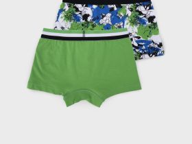 Трусы трикотажные для мальчиков - боксеры, 2 шт в комплекте