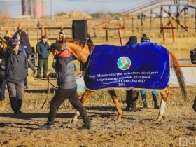 В Якутии определили победителей финальных скачек сезона-2026