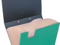 Папка-портфель 13 отделений Berlingo "Skyline" А4, 328*285 мм, 700 мкм, зеленая