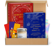 Новогодний книжный бокс