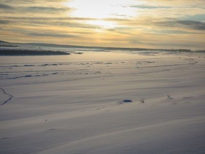 Эксперимент. Экстремалы и блогеры из России побывают в самых холодных и неизведанных местах Якутии