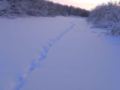 В Намском районе спасатели нашли тело пропавшего пожилого мужчины