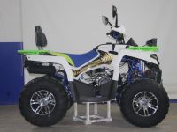 Квадроцикл AVANTIS Forester 200