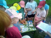 Шиморская поселковая библиотека № 2