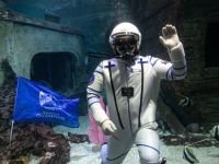 Воронежский океанариум