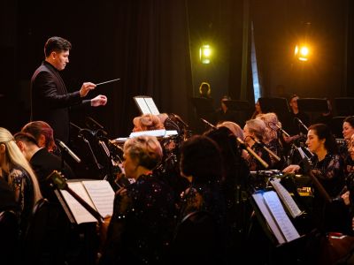 Музыкальные хиты кино и видеоигр. Красноярский филармонический русский оркестр им. Бардина (Филармония)